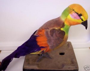 Large Feathered PARROT Artificial Bird - 608