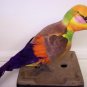 Large Feathered PARROT Artificial Bird - 608