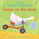 Phonics Stories - Goose on the loose and other tales.