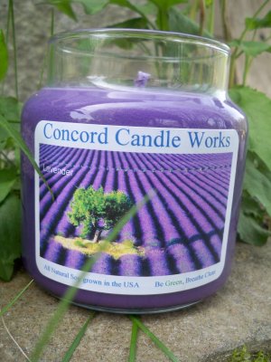 Lavender