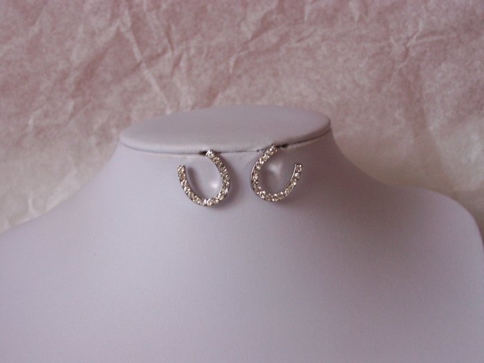 Western Rodeo Clear Crystal Horseshoe Earrings