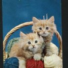 CATS KITTENS IN BASKET WITH YARN BALLS NEEDLES POSTCARD
