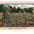 BALTIC OHIO GREETINGS FROM CORN PUMPKINS VINTAGE PSTCRD