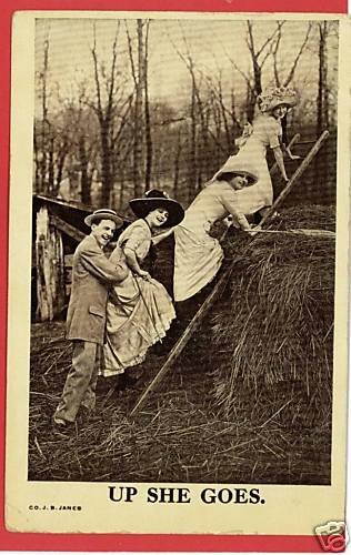 WOMEN UP LADDER ON STRAW UP SHE GOES POSTCARD