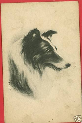 COLLIE DOG ARTIST SIGNED V O H H POSTCARD
