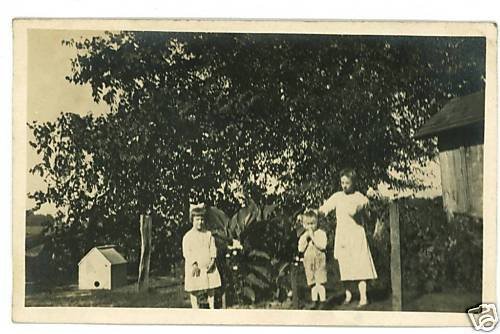 RPPC THREE CHILDREN DOGHOUSE BARN RPPC