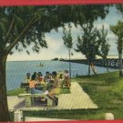 TAMPA CLEARWATER FL FLORIDA CAMPBELL PARKWAY   POSTCARD