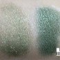 Jungle (GF013SB) *NEW*