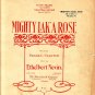 Mighty Lak' A Rose, 1901 Irish Song Sheet Music - 107