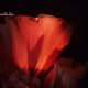 Romance Me- Lord