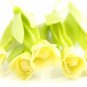 Set of 6 Stems Tulip Flower Doll house Miniatures#26