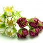 Set of 6 Stems Water Lily  Dolhouse Miniatures#45