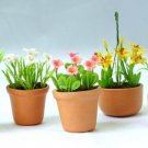 5 pieces English Cottage Garden Collectible NBR106