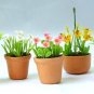 5 pieces English Cottage Garden Collectible NBR106