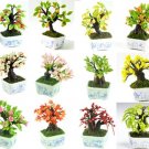 Set of 12 Pieces Lucky Bonsai Miniatures NBR 96