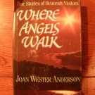 Where Angels Walk by Joan Wester Anderson