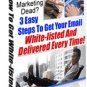 Email Auto Format