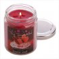 CINNAMON CREAM SCENT CANDLE  W12832