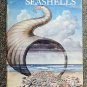 Bergeron Eugene: How to Clean Sea Shells