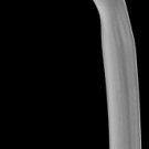 Dermalogica~ Exfoliating face brush [All skin]