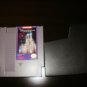 Adventures in the Magic Kingdom  - Nintendo NES - With Protective Sleeve