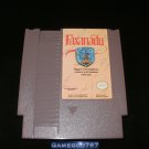 Faxanadu - Nintendo NES