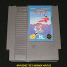 Karate Champ - Nintendo NES