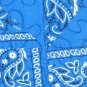 Blue and White Starburst