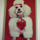 Fluffy White Poodle Playing Swap Card