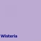 Wisteria Powder Fiber Reactive Dye for 1Lb natural fiber/fabric/fur
