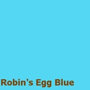 Robin's Egg Blue Powder Fiber Reactive Dye for 1Lb natural fiber/fabric/fur