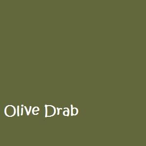 drab olive dye paint fabric fiber reactive powder ecrater natural 1lb