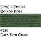 DMC 6 Strnd Cotton Embroidery Floss Dk Fern Green 520