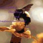 Worker Bee Cross Stitch Chart