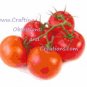 Tomatoes on the Vine Cross Stitch Chart