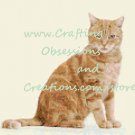 Orange Tabby Cat Cross Stitch Chart