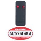 Auto Theft Deterrent Light