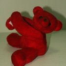 TEDDY BEAR 001