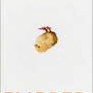 Flipped -Wendelin Van Draanen