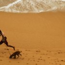 runing with a dog on the beach