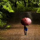 after the rain