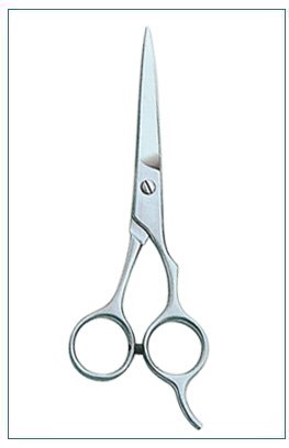 Barber Scissors