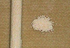 Pearlized Cream 13/0 Charlotte - Seed Bead