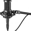Audio-Technica AT2035 Large Diaphragm Studio Condenser Microphone