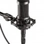 Audio-Technica AT2035 Large with Shock Mount, Pop Filter, Mic Bag and XLR Cable