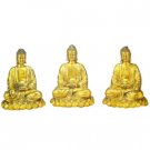 Set of 3 Buddhas - Brass - 10 inch