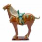 Tang Horse - Porcelain - 12.5 inch