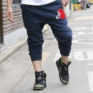 2504100046 Mens middle short pants