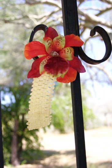 Fall Creation