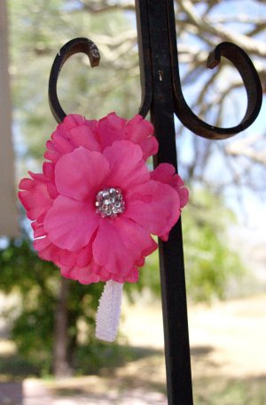 Hibiscus Glitter